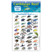 Reef Life Charts  7in. x 5in. water resistant