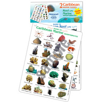 Reef Life Chart Set  7in. x 5in. water resistant