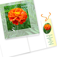 Mother's Day Card & Bookmark C- 5.5in. sq